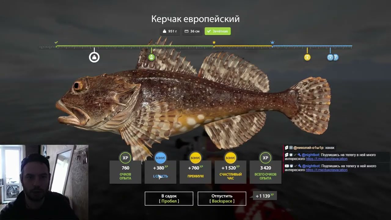 ✅Русская рыбалка 4✅ !tg !тт !донат #russianfishing4