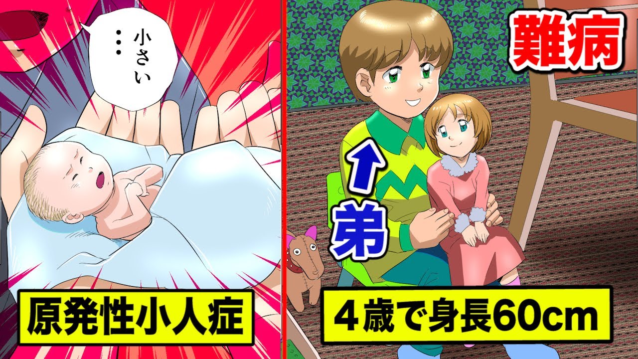 100万人に1人の難病…原発性小人症の少女を漫画にした【実話】