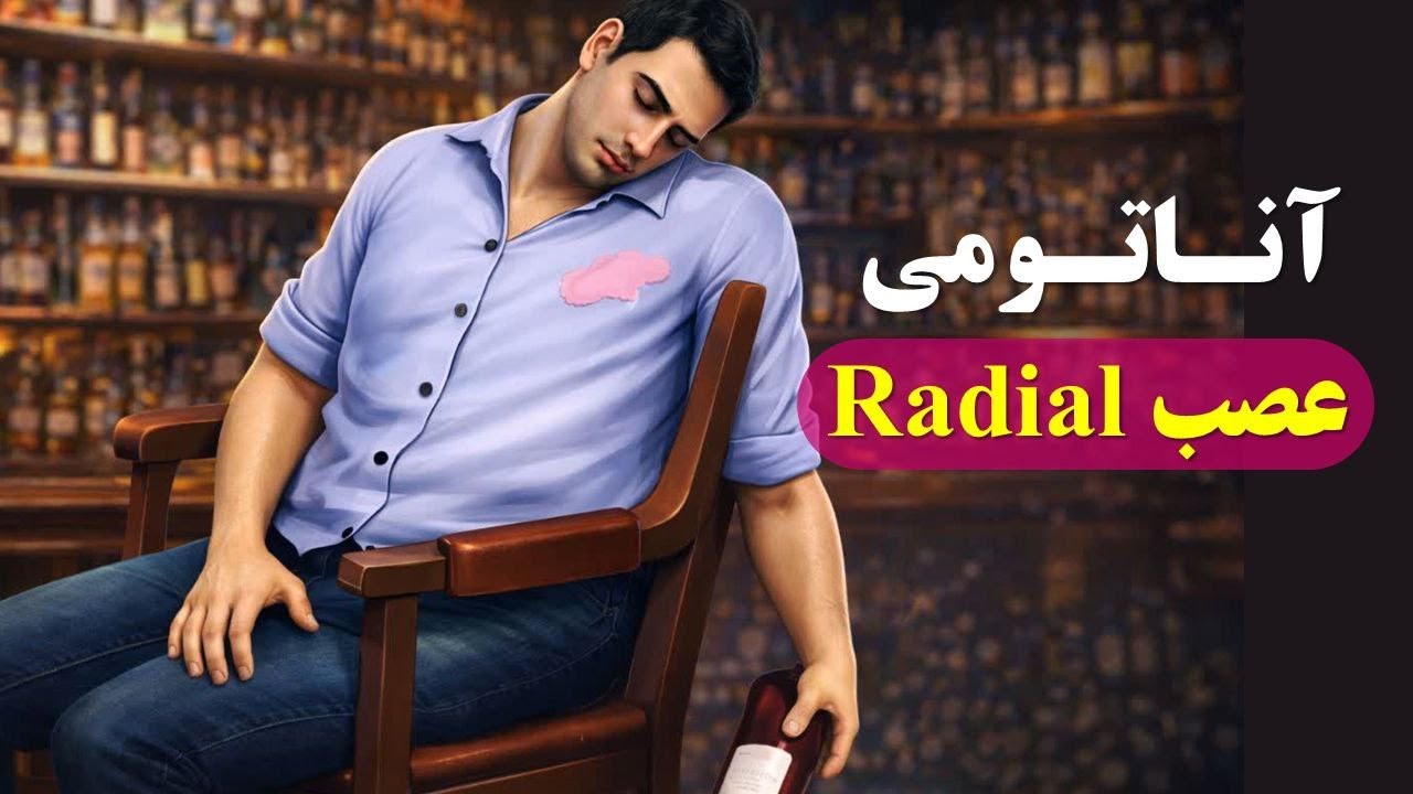 آناتومی عصب رادیال | Clinical Anatomy of Radial Nerve & Wrist Drop