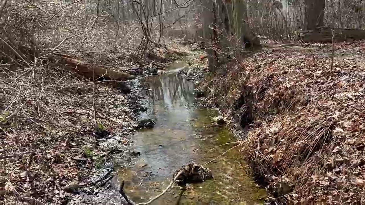 Long Island Greenbelt Trail In A Day!