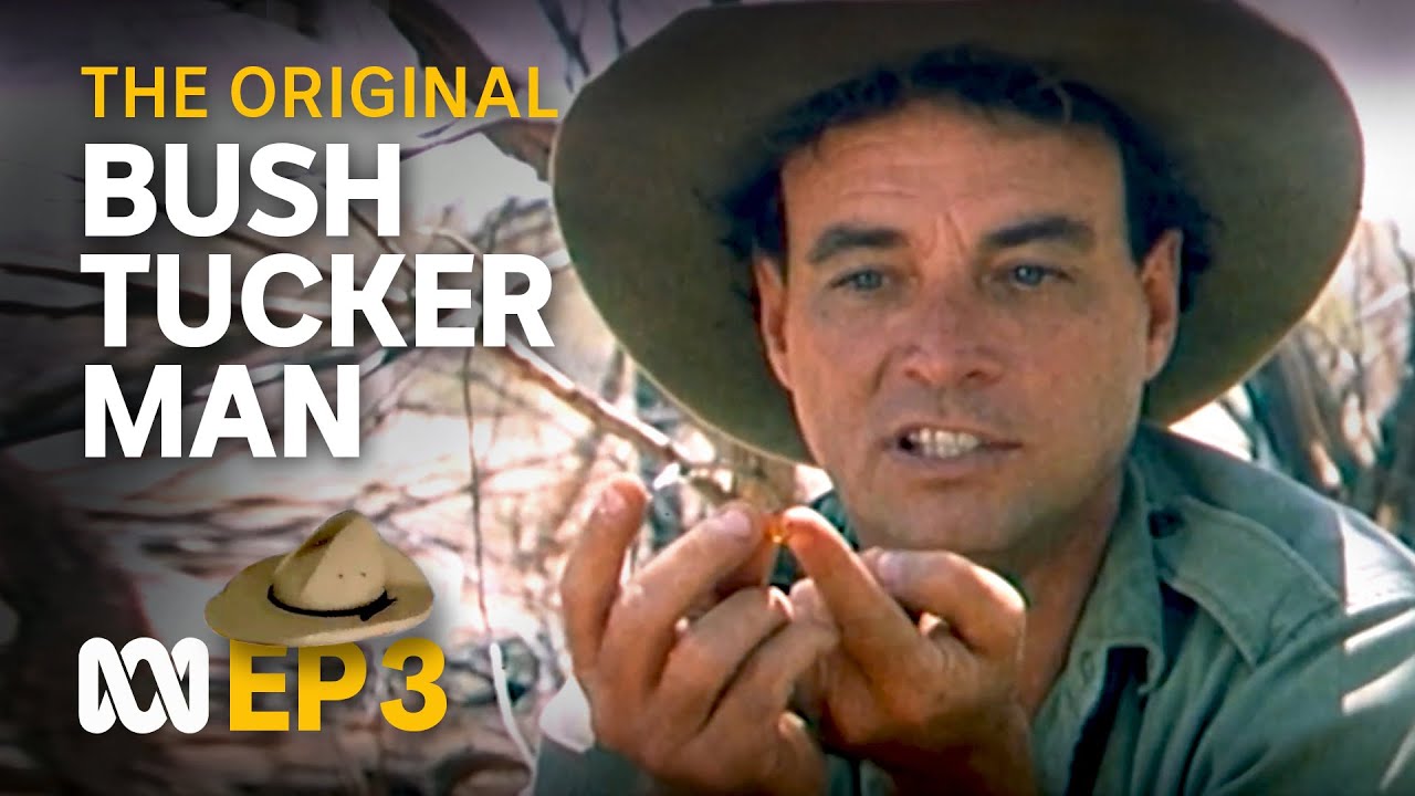 Finding food, water in the Tanami Desert 🤠🗺️ | Bush Tucker Man | S1 EP3 | ABC Australia