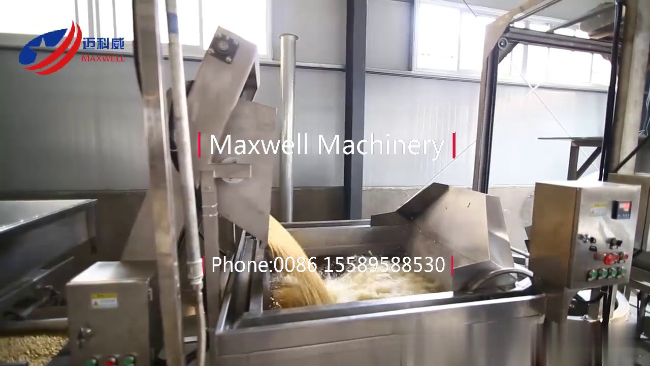 Full Automatic Spicing Peanut Processing Machine Production Line