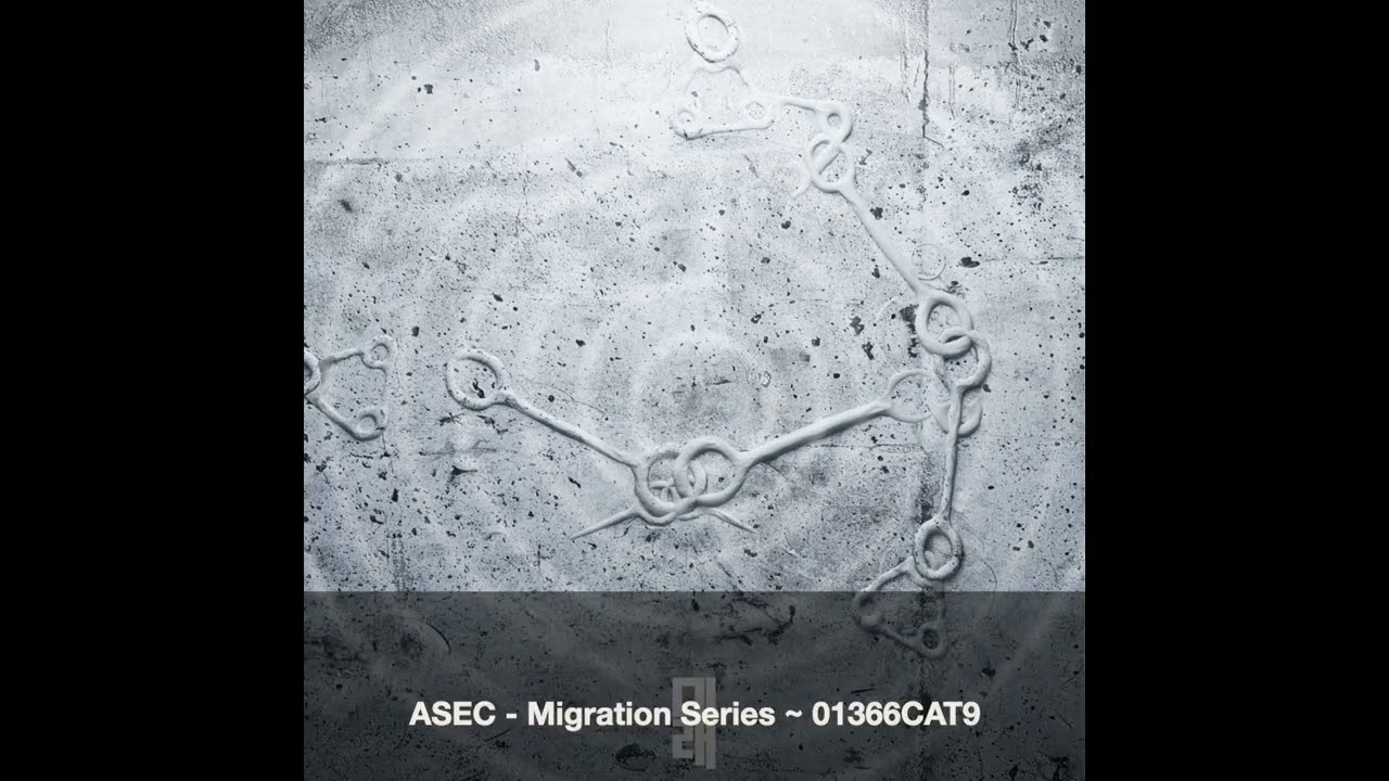 ASEC - Migration Series ~ [01366CAT9]