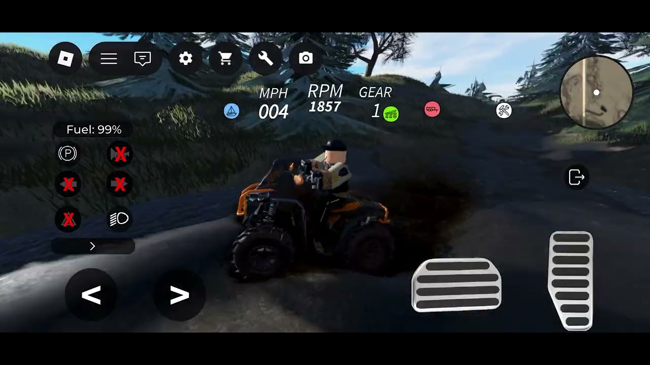 Playing APM (American￼ plains mudding)