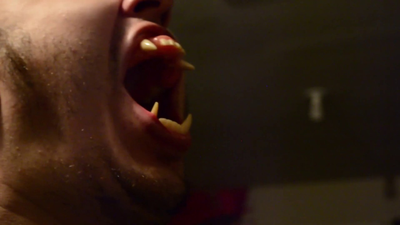 Werewolf 2018: Transformation