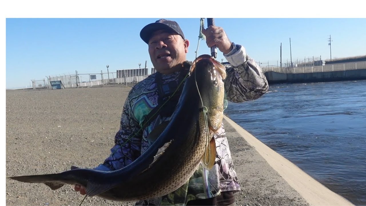 The Dream Of A Fisherman/ El Sueño de Un pezcador