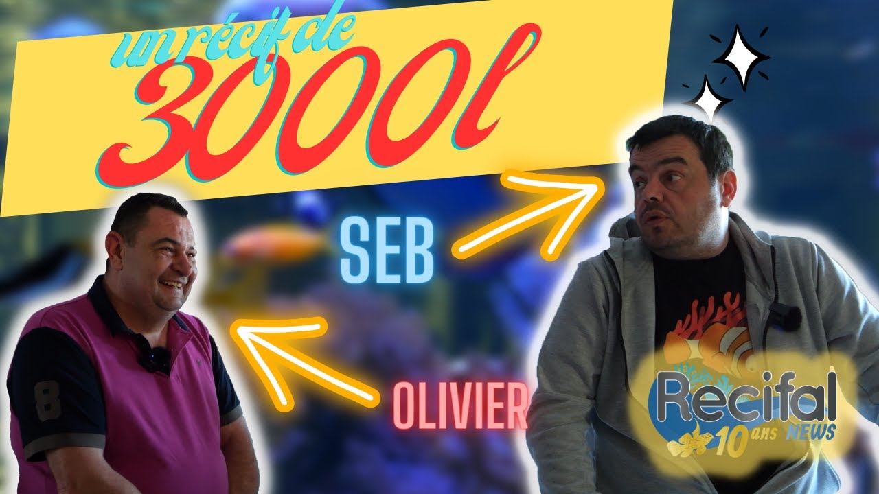 Un récif de 3000 litres.