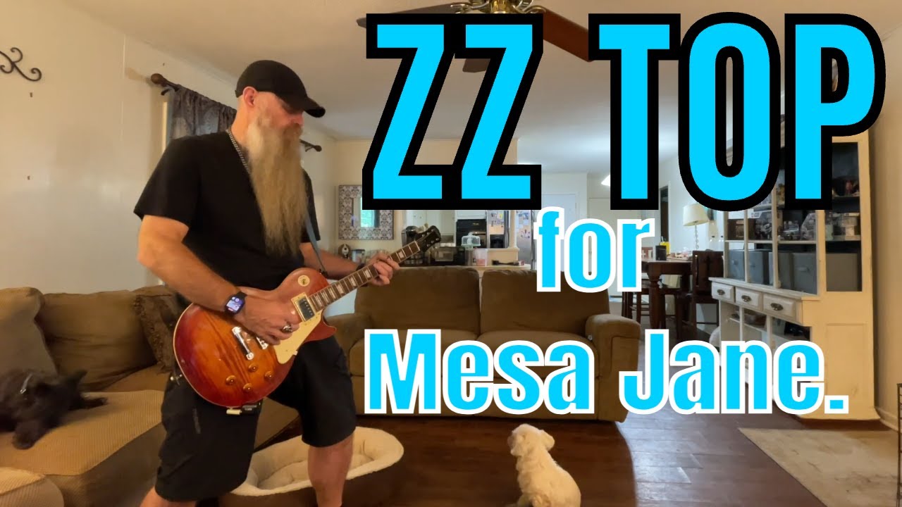 Entertaining my Dogs with ZZ TOP Guitar!