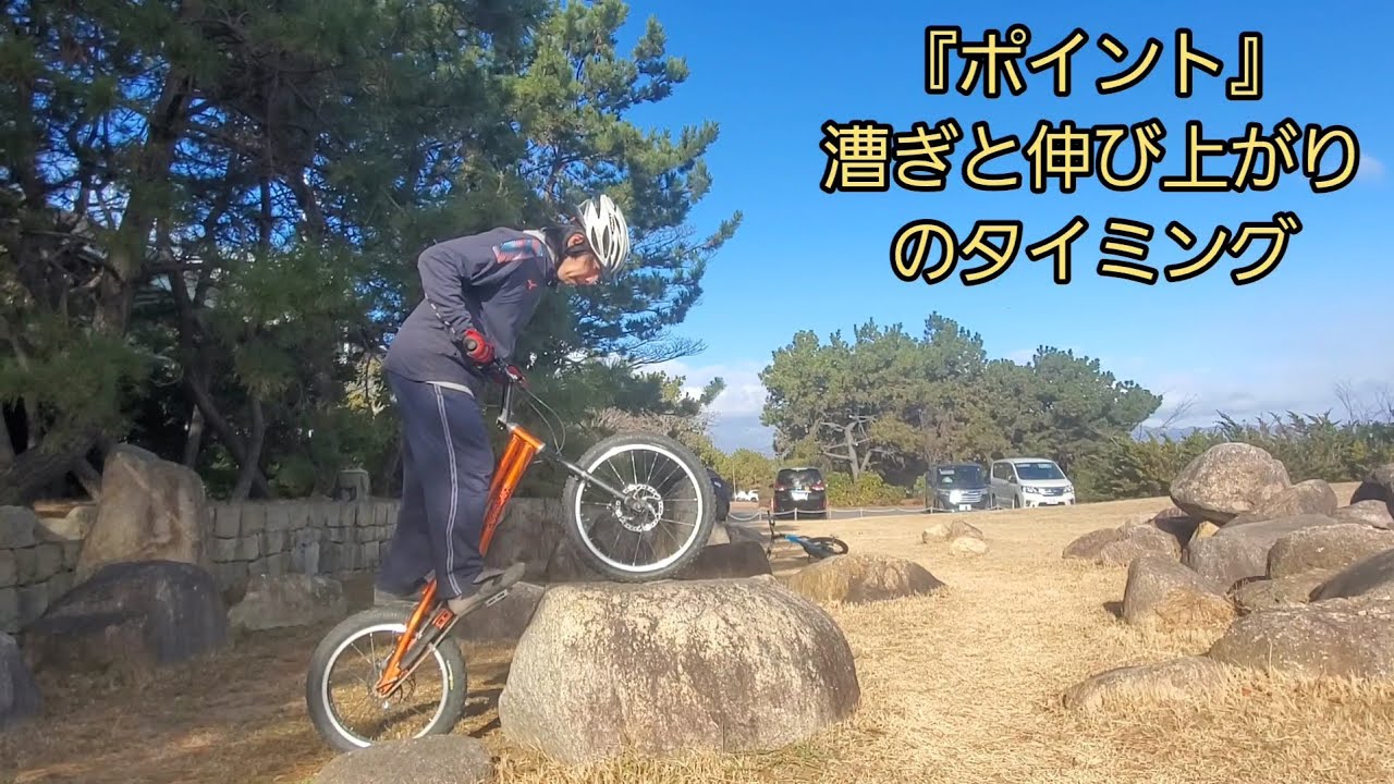突き出し(軽い解説つき)