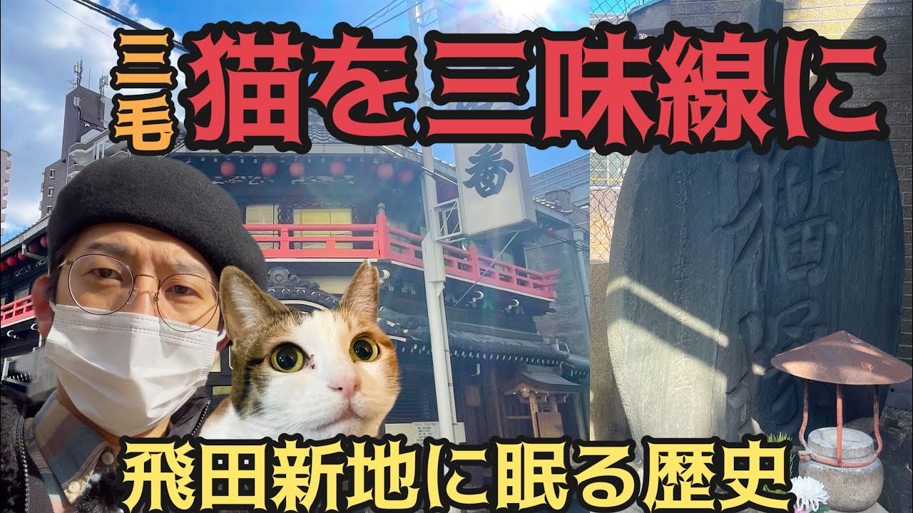 猫と遊郭。三味線にされた猫を供養してる猫塚【NECOZE展vol.6】