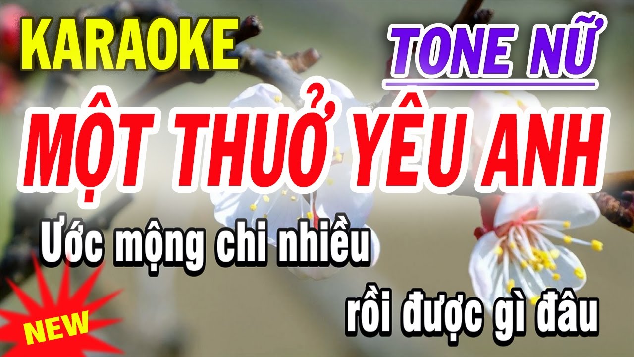 Một Thuở Yêu Anh Karaoke - Tone Nữ - Beat Phối Mới
