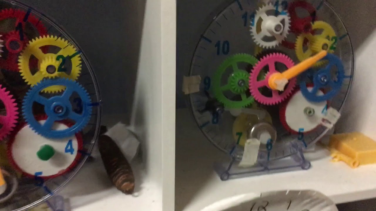 Our clock collection as of September 8, 2019