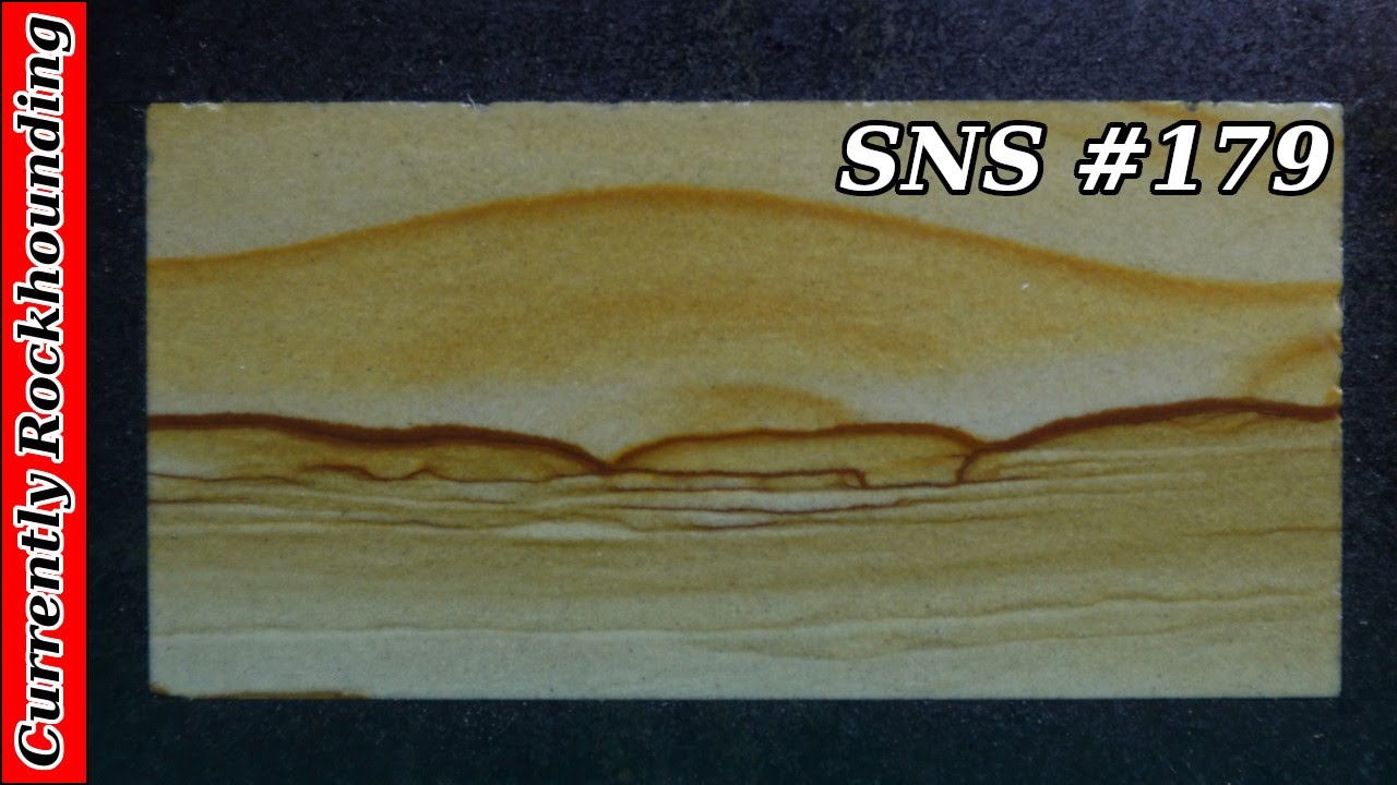 SNS 