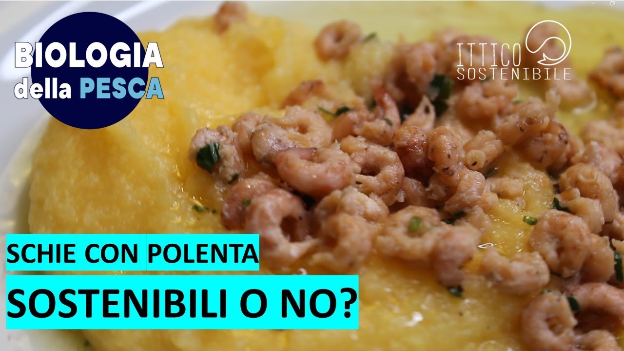 Schie con polenta: sostenibili o no?