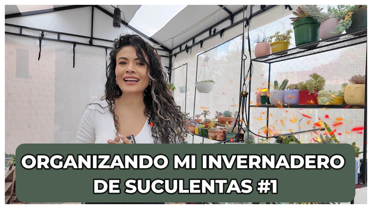 TENGO MI INVERNADERO SÚPER DESCUIDADO, AQUÍ TE MUESTRO UNA A UNA MIS PLANTAS, ERRORES Y APRENDIZAJES