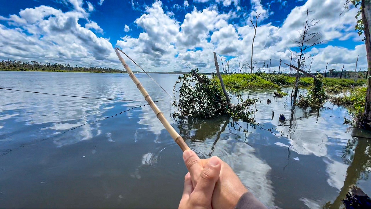 Pescaria na Ceva de Piau em Fam&iacute;lia, separamos esse do Frito por&eacute;m o Sambur&aacute; ficou lotado de Peixes