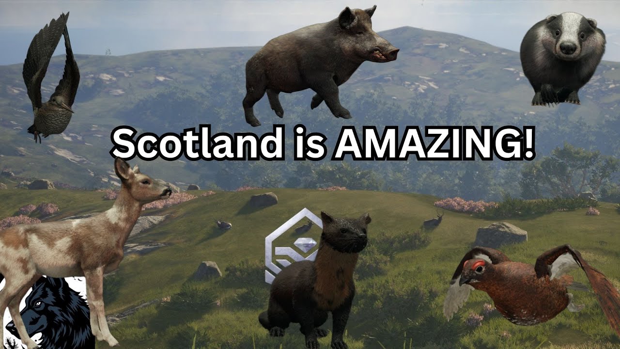 Hunting SCOTLAND leads to TWO TROPHIES! - TheHunter Call of the Wild
