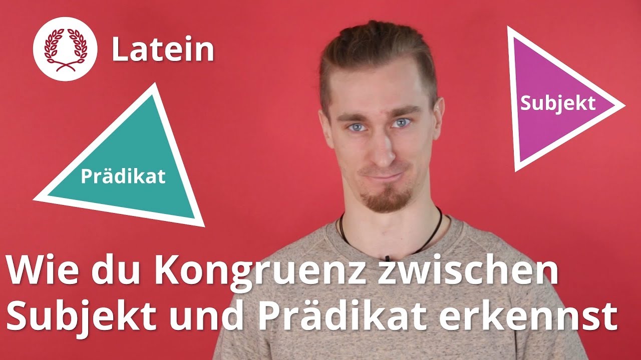 Kongruenz zwischen Subjekt und Pr&auml;dikat: erkennen und &uuml;bersetzen &ndash; Latein | Duden Learnattack