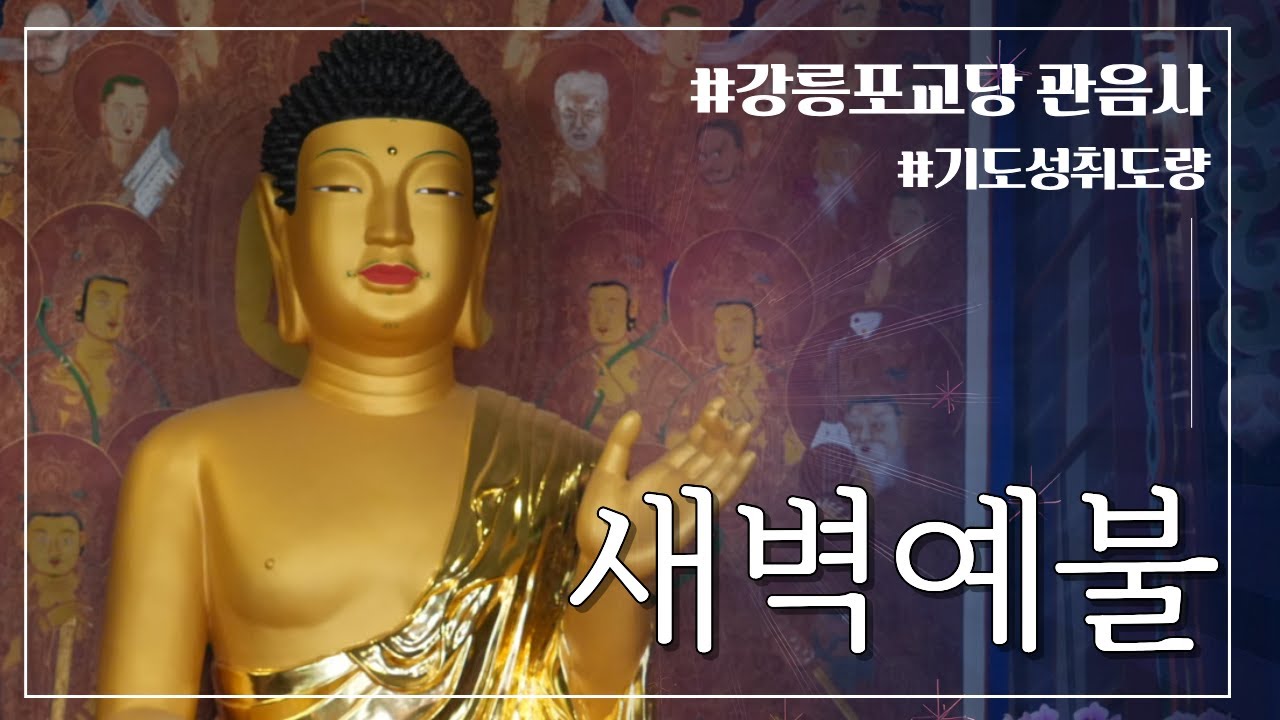 새벽예불 | 강릉 #관음사 - 부처님과 함께 하루를 시작하세요 #강릉포교당관음사