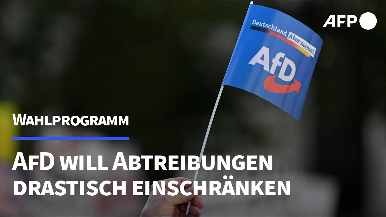 Wahlprogramm: AfD will Abtreibungen drastisch einschränken | AFP