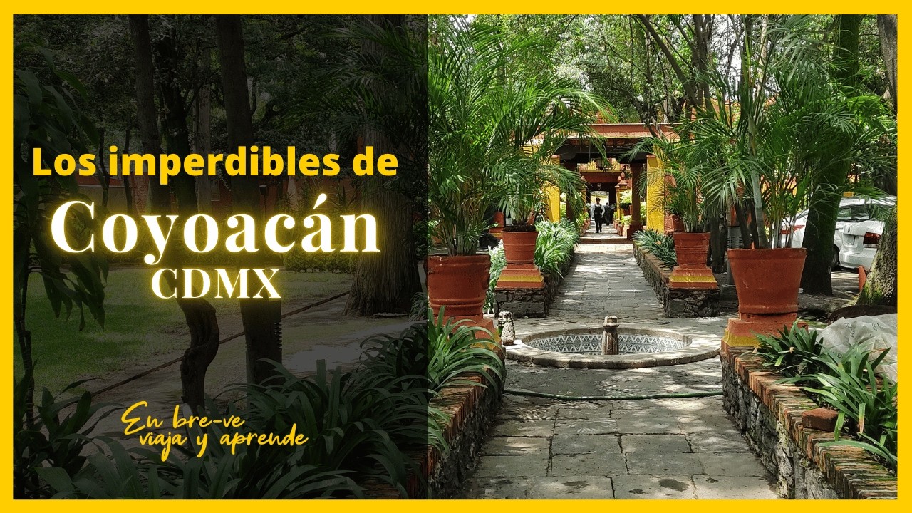 👉Lugares populares de interés en Coyoacán