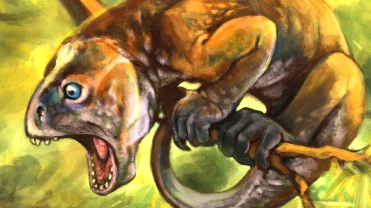 Suminia - The Permian Monkey Look-alikes