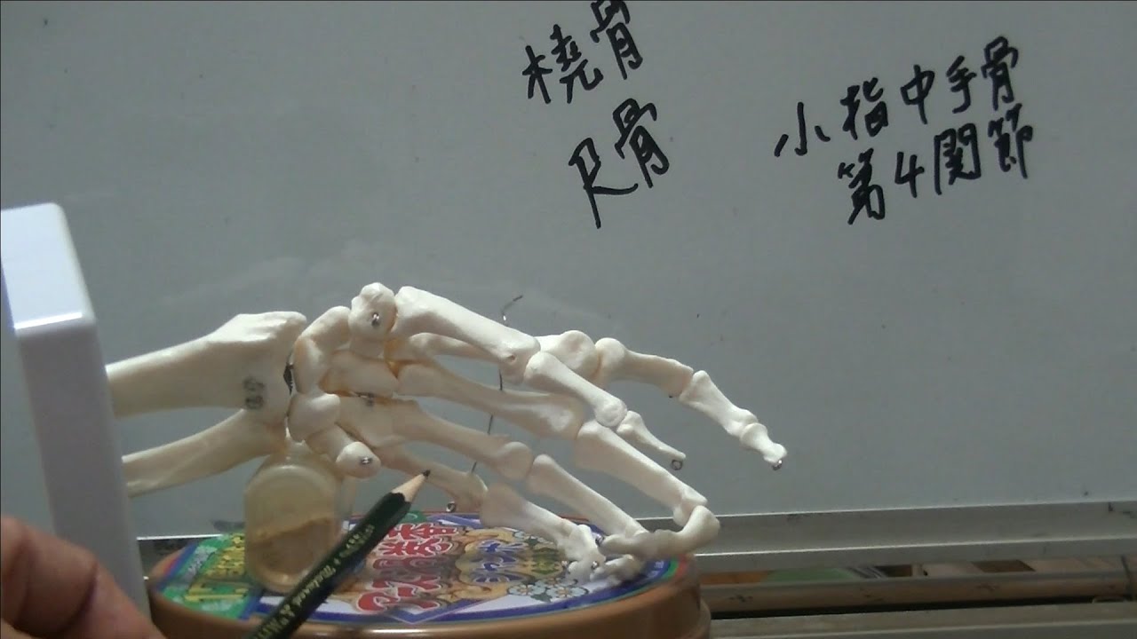 弓道　手の内の掌根の作用と手首の角度について考察してみました。