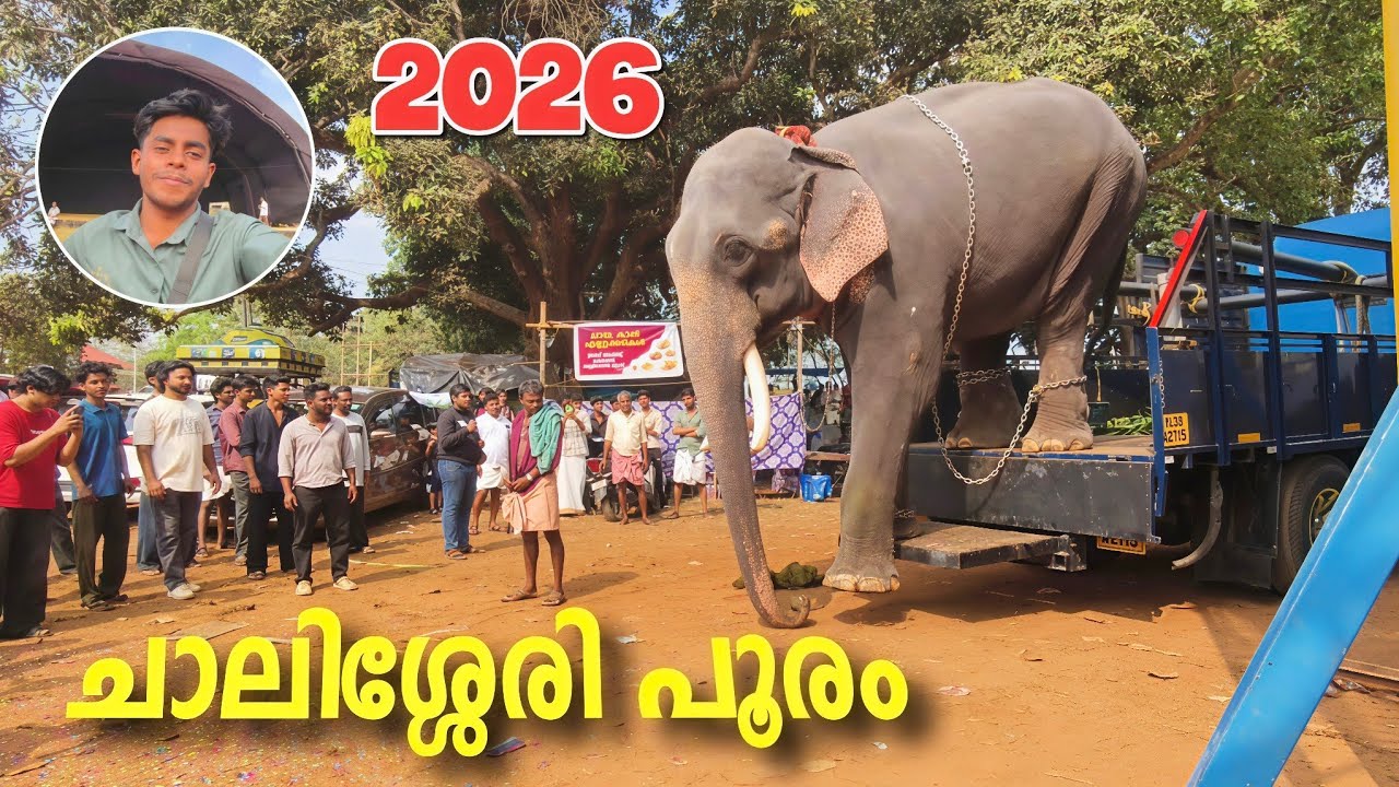 ഇന്ന് ചാലിശ്ശേരി പൂരം 2026 😍 | Chalissery Pooram 2026 Vlog #chalissery_pooram_2026
