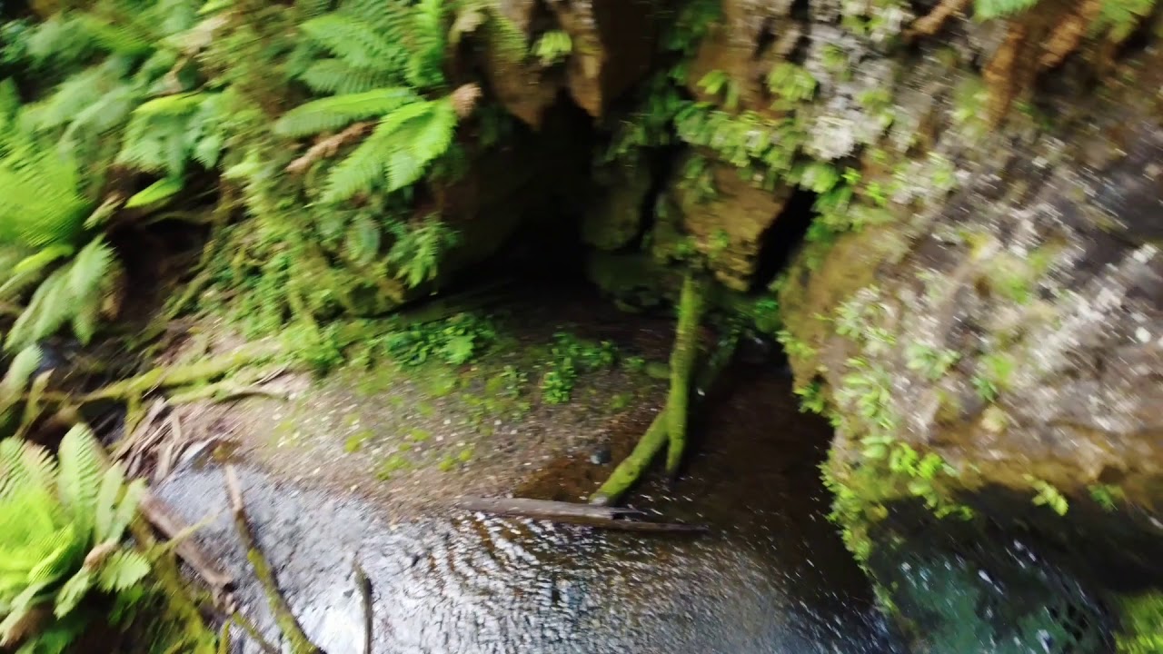 Wild Dog Falls
