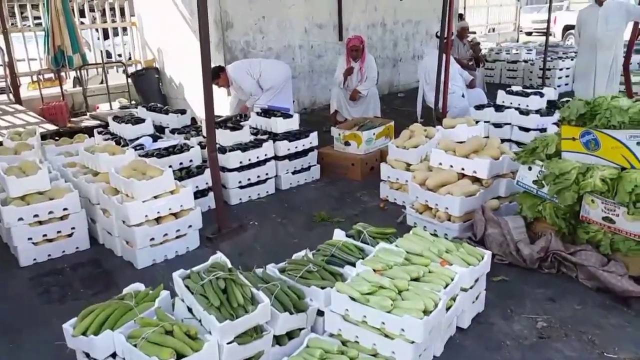 القطيف| حراج سوق الخضار