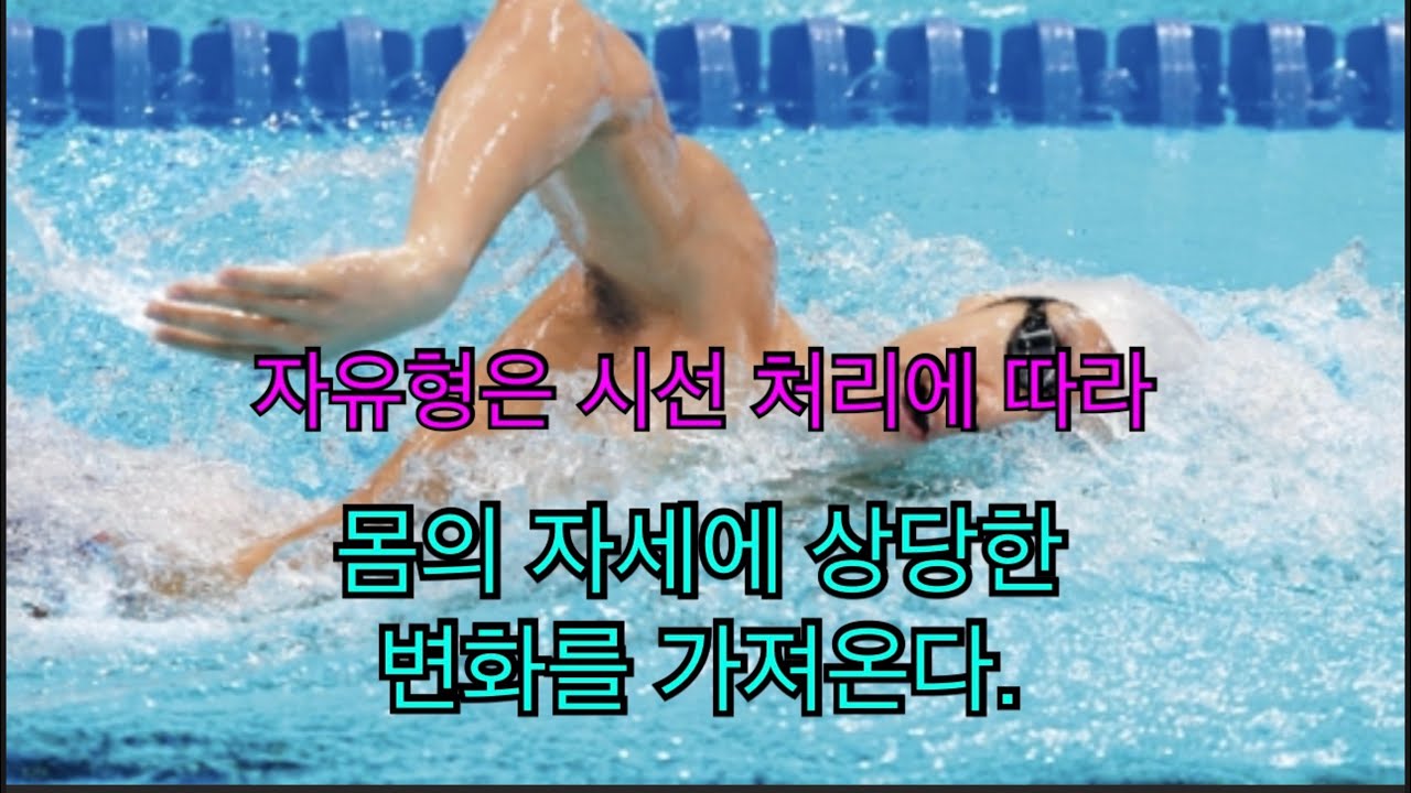 자유형에서는 시선처리가 자유형의 자세에 지대한 영향을 미친다.