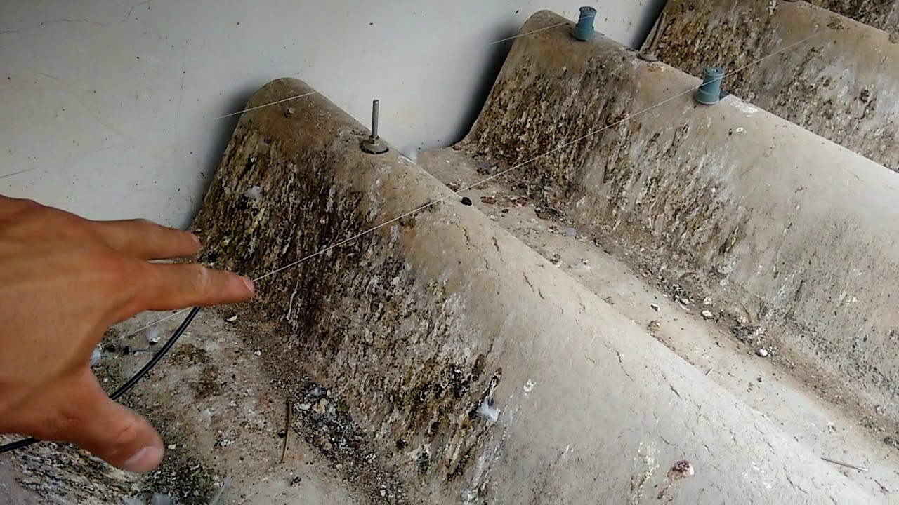 Instalação Sistema Repelente de Pombos LH-120 em Telha Kalhetão