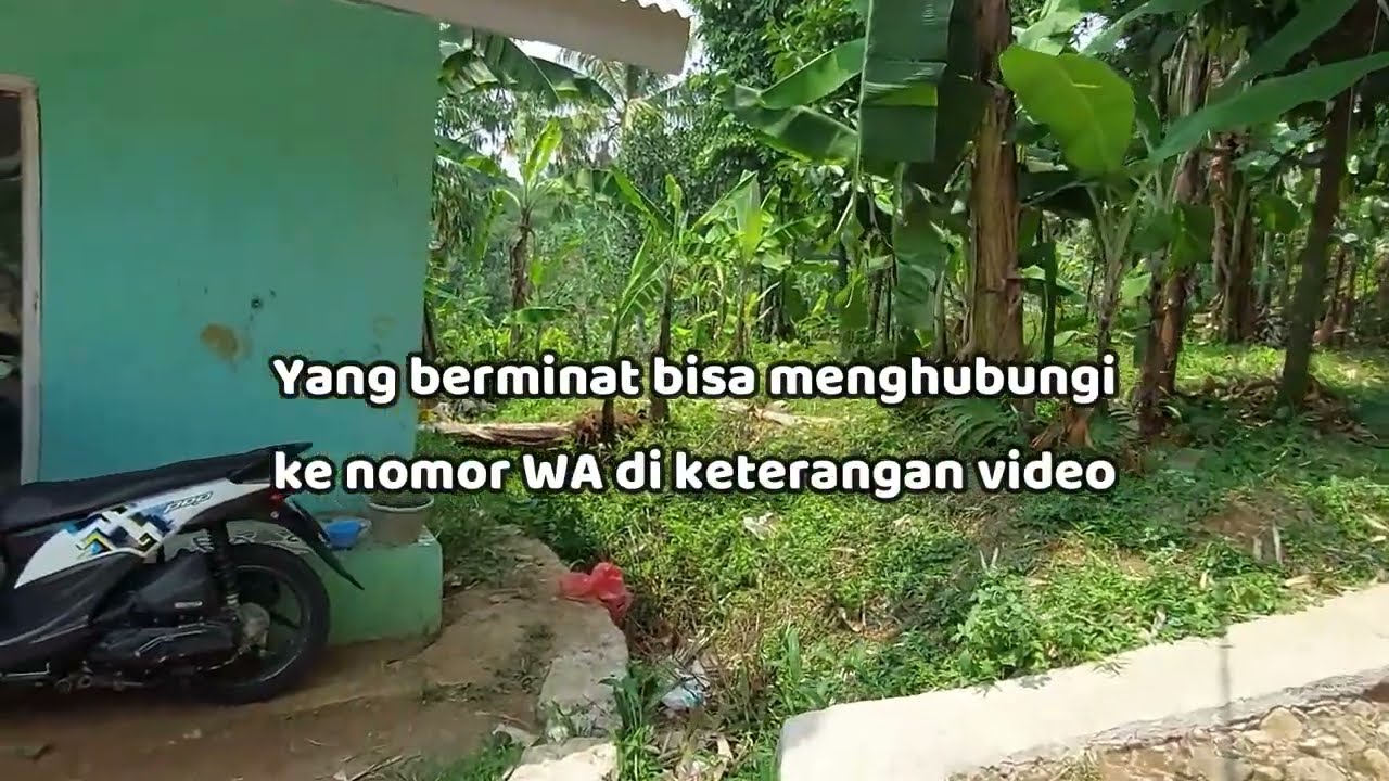 LT. 500 meter, Girik, harga 95 juta nego. Desa Hambaro, Kec Nanggung, Kab. Bogor