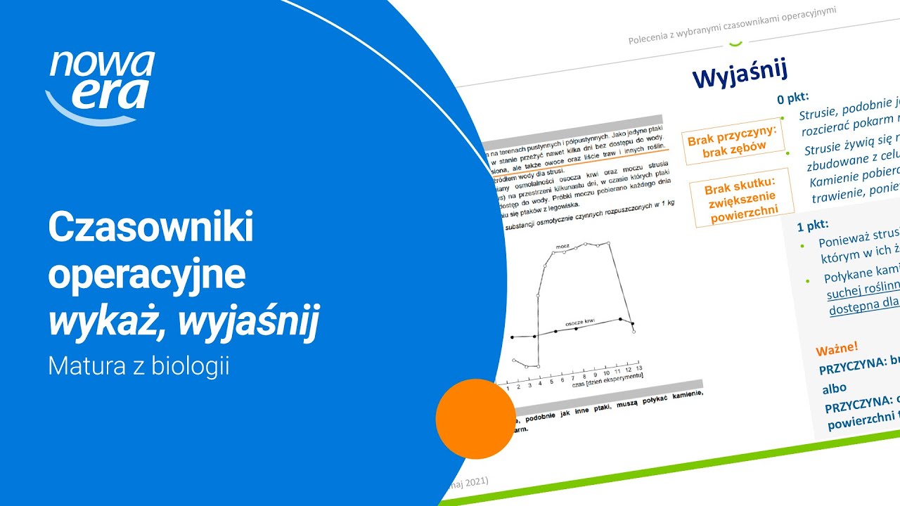 Czasowniki operacyjne wykaż, wyjaśnij. Matura z biologii