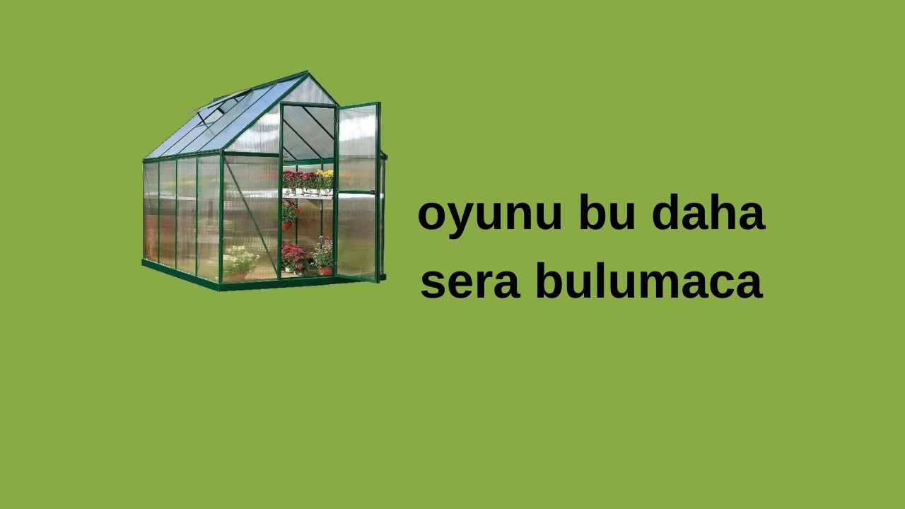 oyunu daha sera bulmaca  bunla güzel keyif   oyunu   botayn monor