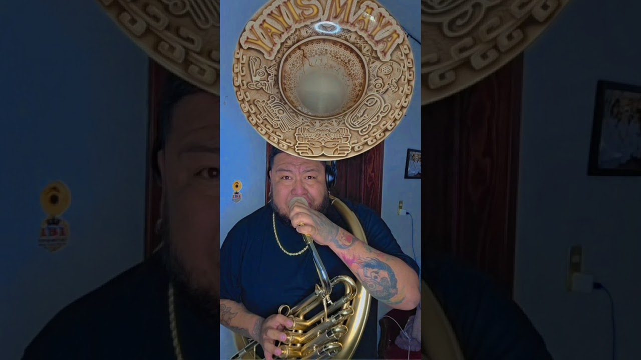 El papayon YayisMayaTuba 