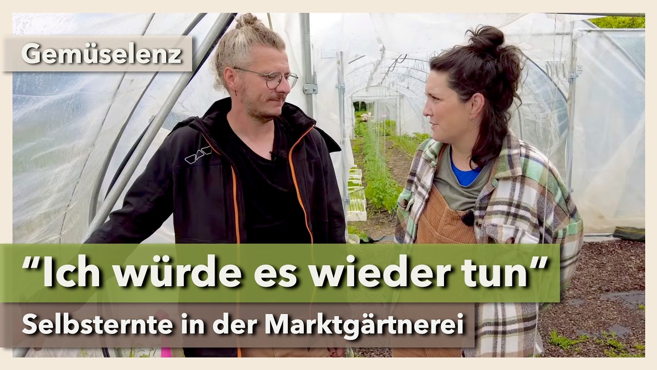 Wie gut funktioniert Selbsternte wirklich? Preise, Zahlen, Organisation | Gemüselenz | 2024 | Teil 3