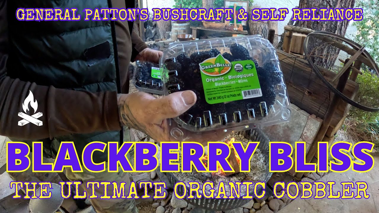 BLACKBERRY BLISS - THE ULTIMATE ORGANIC COBBLER "MY NEW BOOK" 