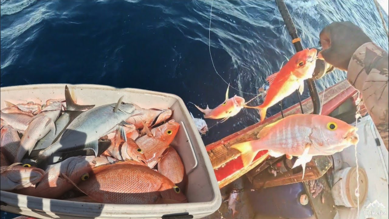 SIMPLY THE BEST TEACHER (SOLO FISH HUNTING)