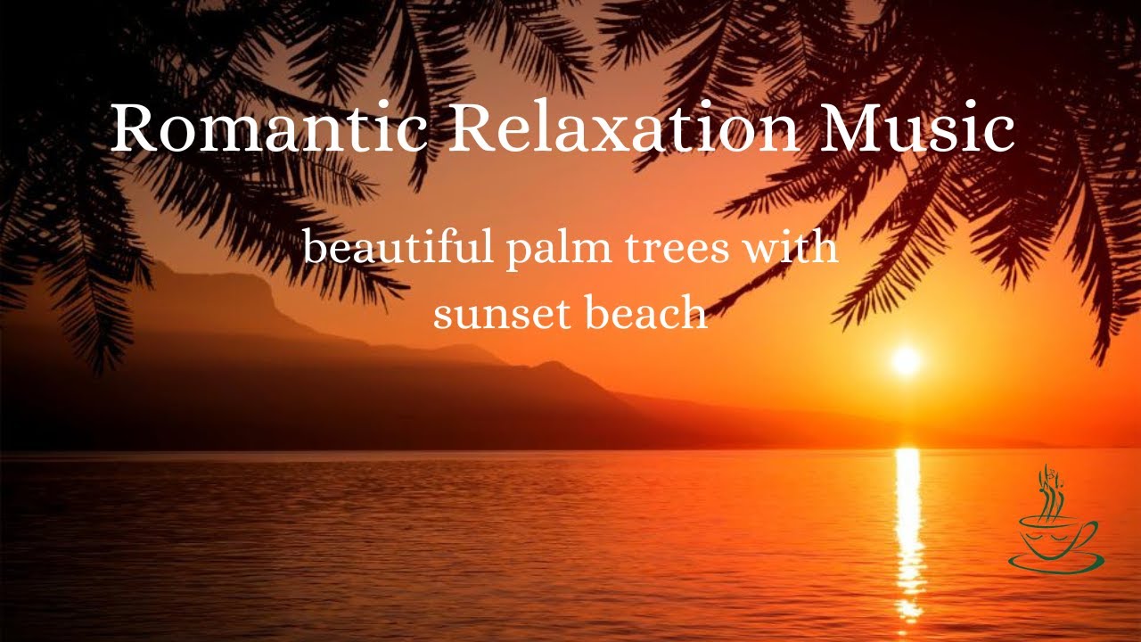 Beautiful Palm trees with sunset beach, Romantic relaxation music.