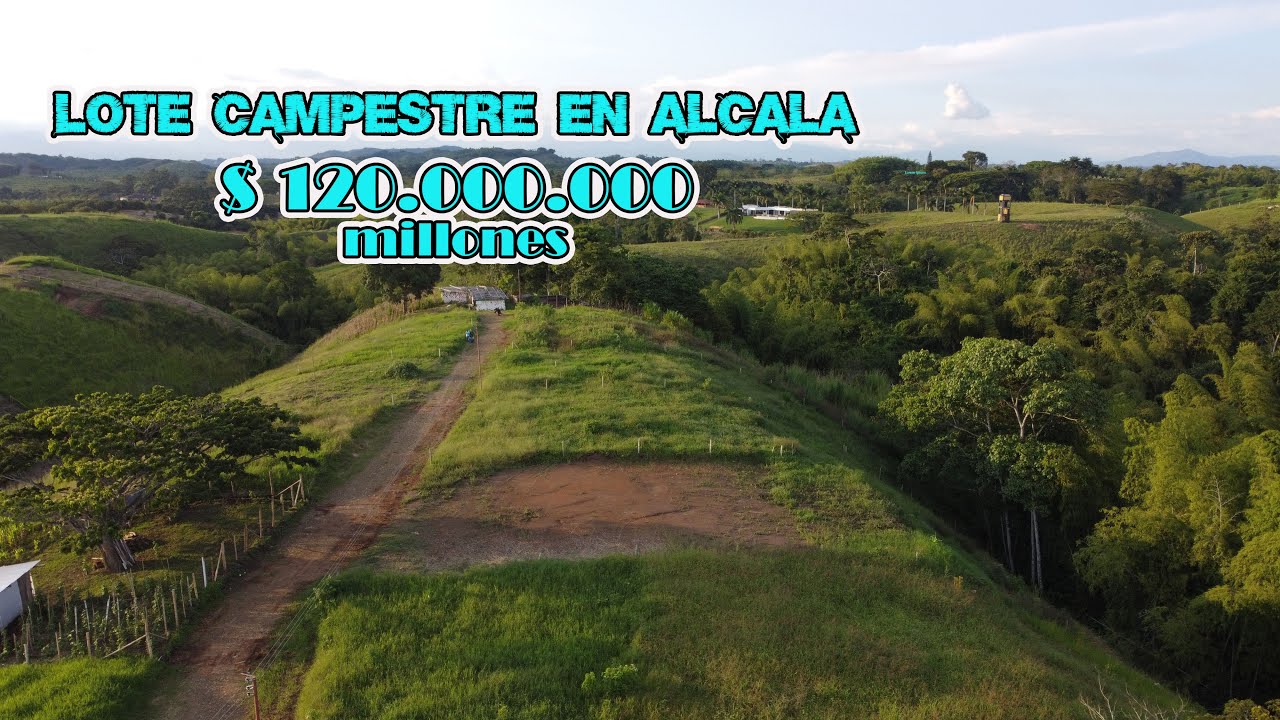 LOTE DE 1.500 M2 EN ALCALÁ PAISAJE DEL EJE CAFETERO. $ 120.000.000. Alexis 📱3183270741 3116239407🌄☕💯