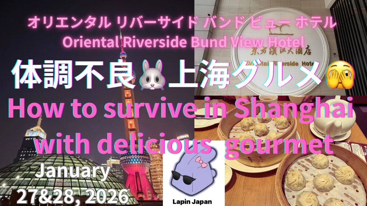 [上海🐰Shanghai] 体調激悪ラパンの上海グルメ旅🫣How Lapin survived In Shanghai with gourmet meals #shanghai #china 