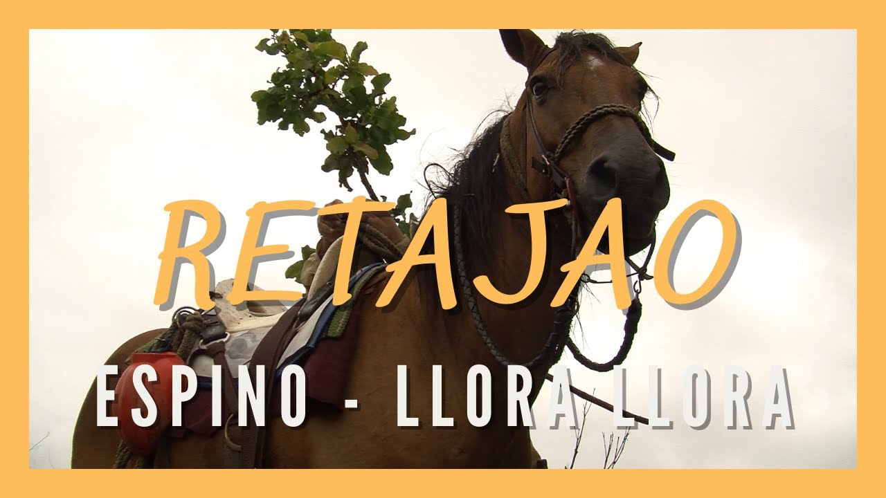 RETAJAO. ESPINO - LLORA LLORA. Llanos del Orinoco. Trabajo de llano. Vaquerías. Arreo de ganado.