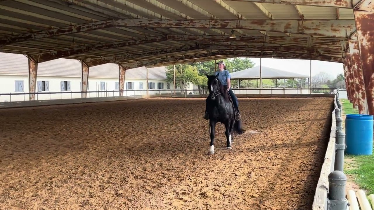 Cara Schaefer and Rio ranch riding wt Feb 2026 
