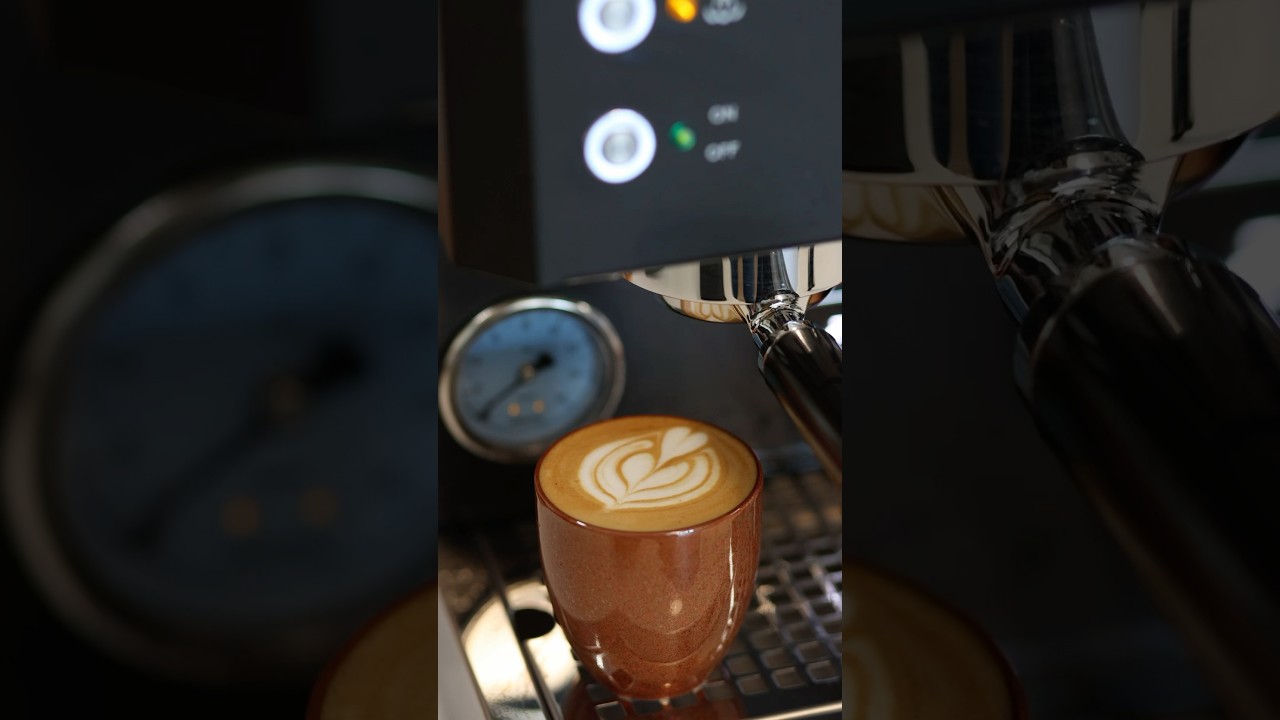 Coffee on the Profitec Go!  