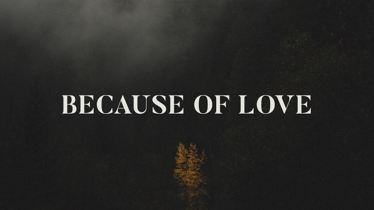 Lizi Bailey - Because of Love (Lyrics)