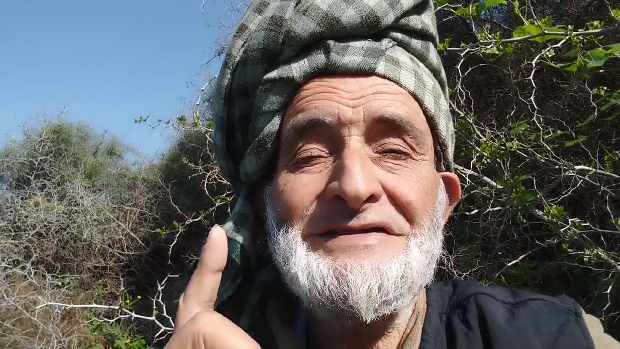 النفاق