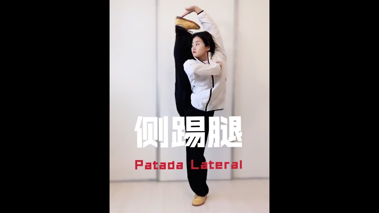 Ушу Кунг-фу в Casa Día 159 Patadas Básicas 基本腿法 JiBenTuiFa Basic Kicks