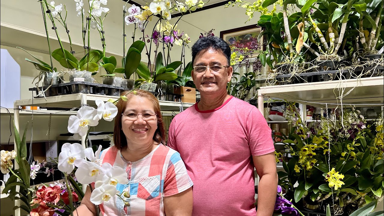 FARM TOUR: DATING BILARAN at BODEGA ng PALAY, NGAYON ay ORCHIDS at ORNAMENTAL PLANTS HEAVEN na!!