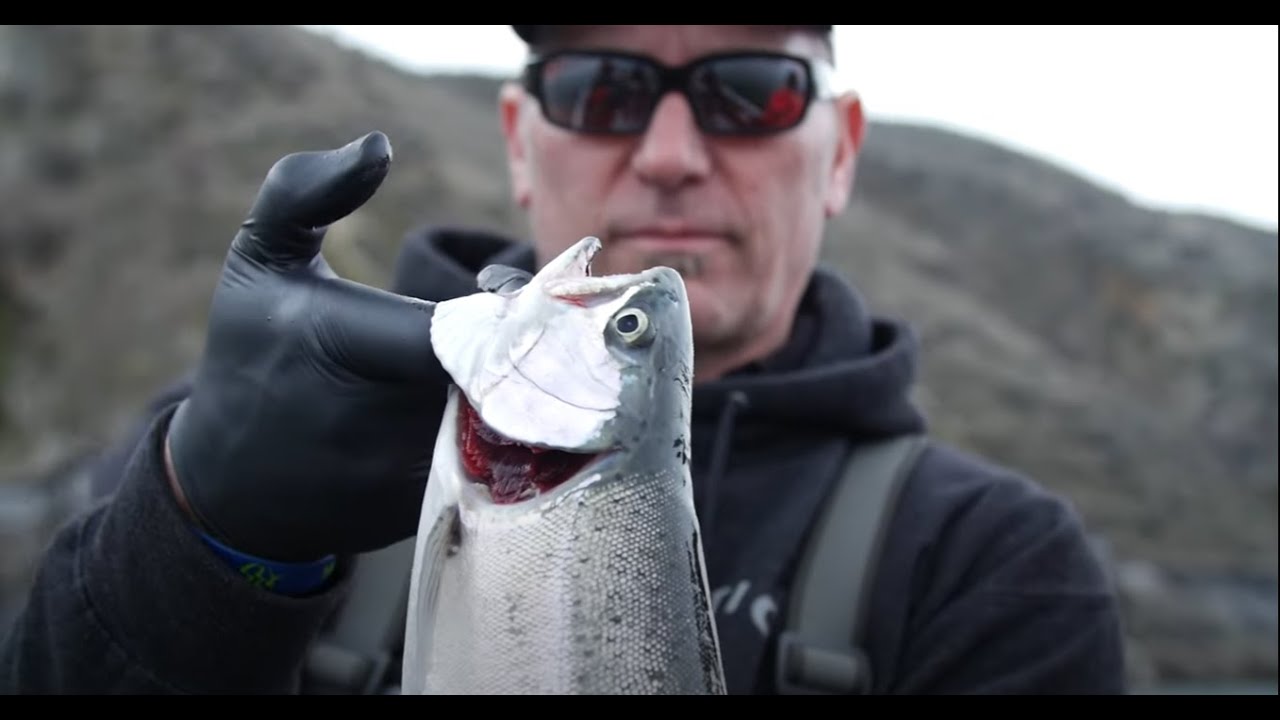 Trophy TROUT & KOKANEE on Lake Roosevelt! | Planer Boards, Bait & Trolling Techniques | PART 1 of 2